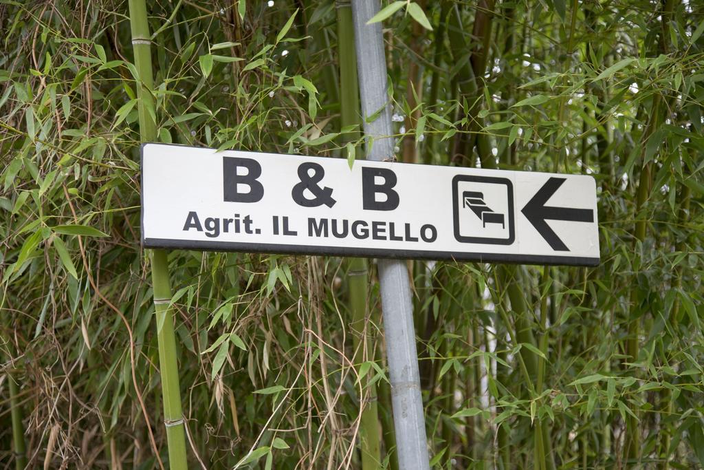 Il Mugello B&B Vicchio Exterior photo