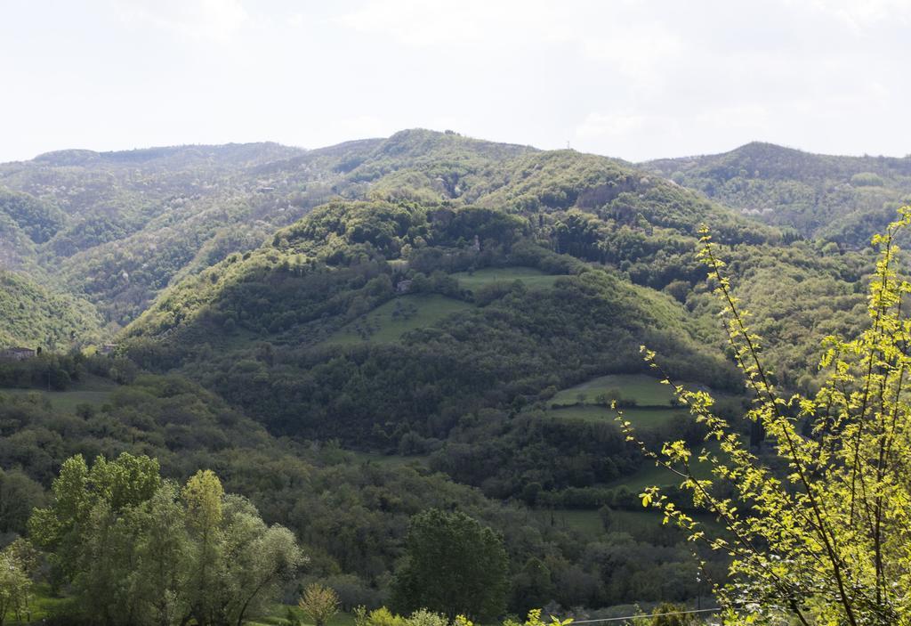 Il Mugello B&B Vicchio Exterior photo